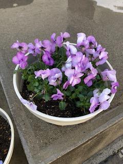 image0_23.jpeg