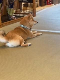 image0_18.jpeg