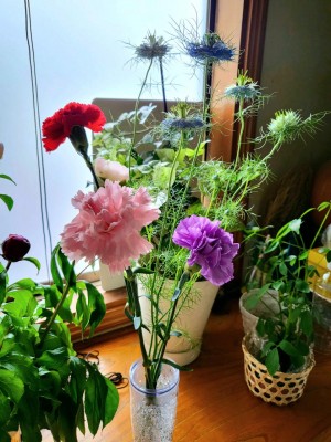 20240520_140420.jpg