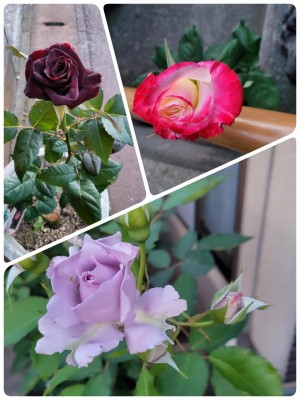 24-05-24-03-25-51-170_deco.jpg