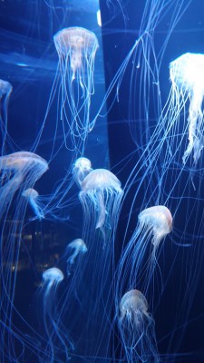 DSC_1729_2.JPG