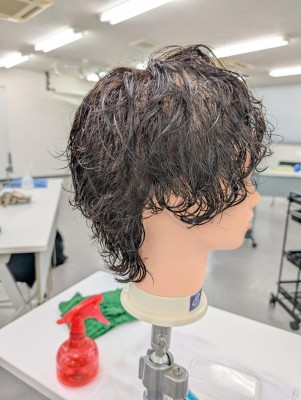 PXL_20250613_112354672.jpg