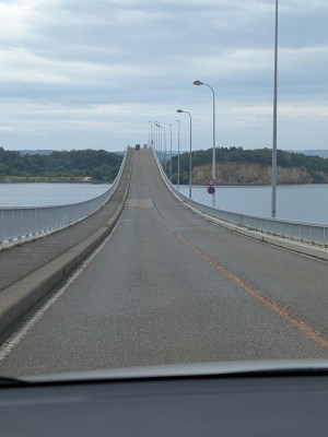 PXL_20250616_024621074.jpg