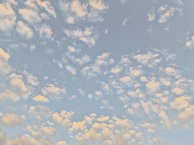 20260530_184045.jpg