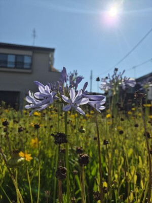 20260704_074805.jpg