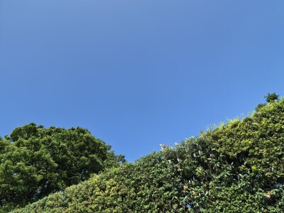 20260803_104522.jpg
