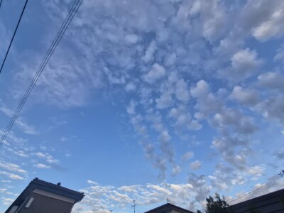 20260831_173139.jpg
