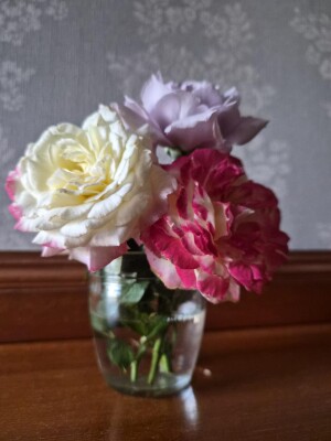 20260925_071313.jpg