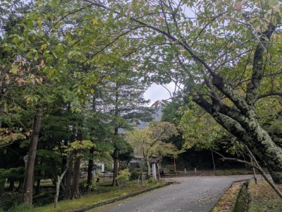 PXL_20261026_044447222.jpg